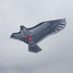 Imagen siguiente del producto