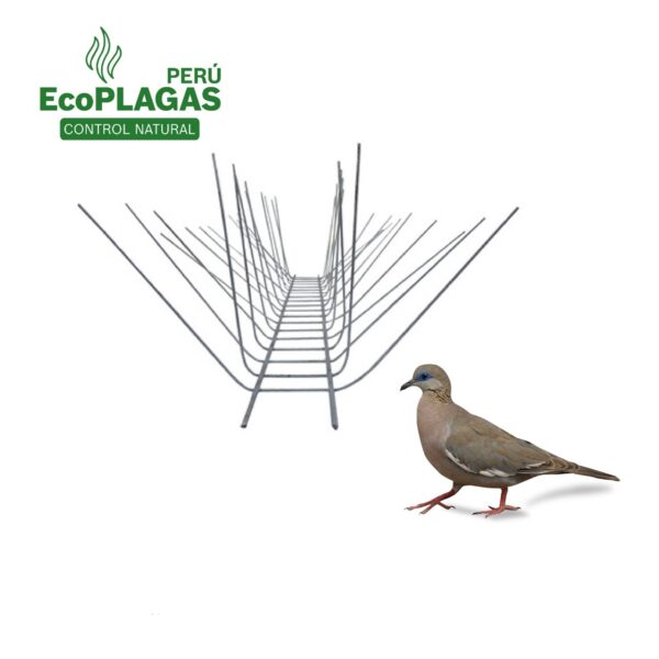 Púas Antipalomas (metro)