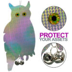 Imagen anterior del producto